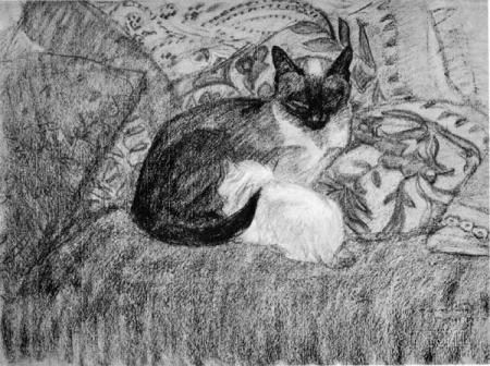 mimi miaou