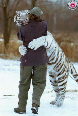 gros calin