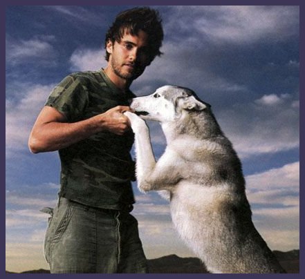 Jared Leto et un chien loup, lequel est le plus beau ???